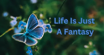 10 Best Steps To Understand The Concept of Life as A Fantasy