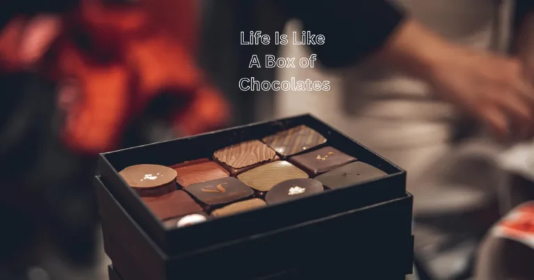 7 Wise Life Lessons Behind the Quote 'Life Is Like a Box of Chocolates'