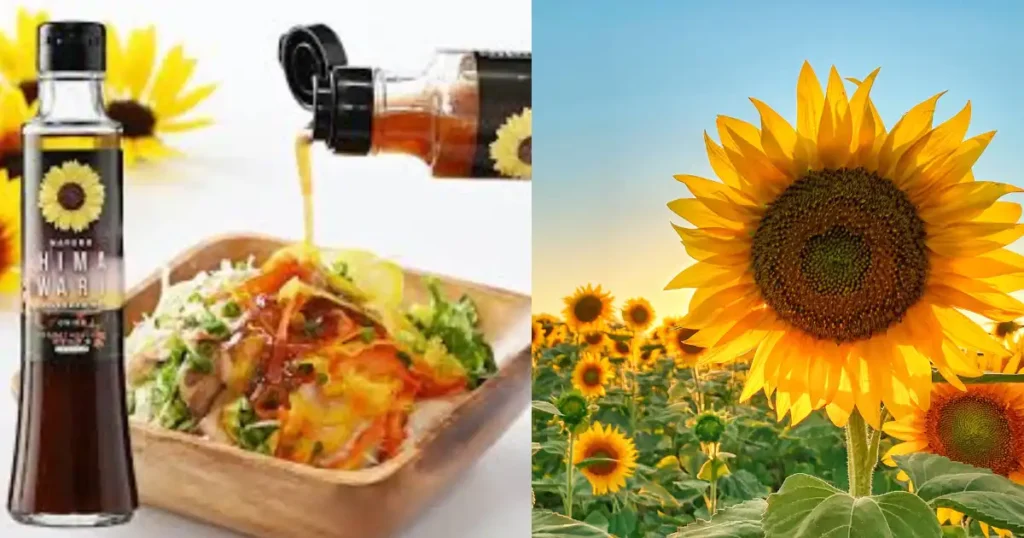 Is Sunflower Oil Bad for You? (When and Why It Could Be)