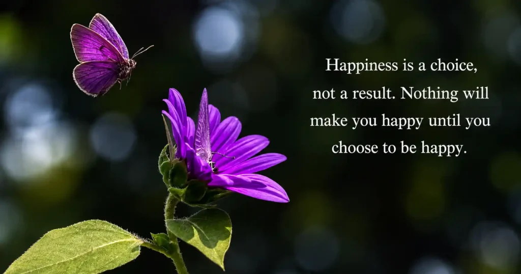Find Joy and Happiness in Everyday Life